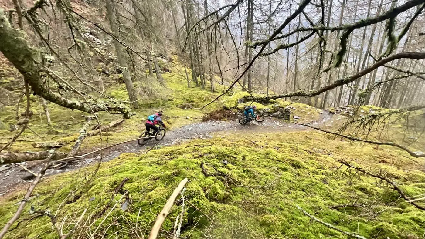Grizedale forest Lake District MTB